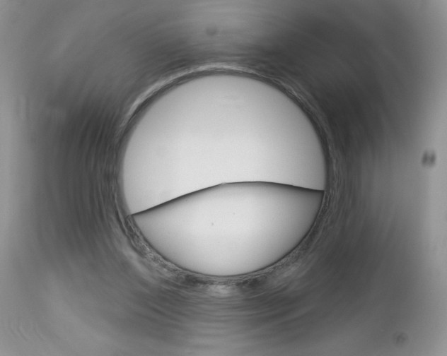 X0000113120204200908281050