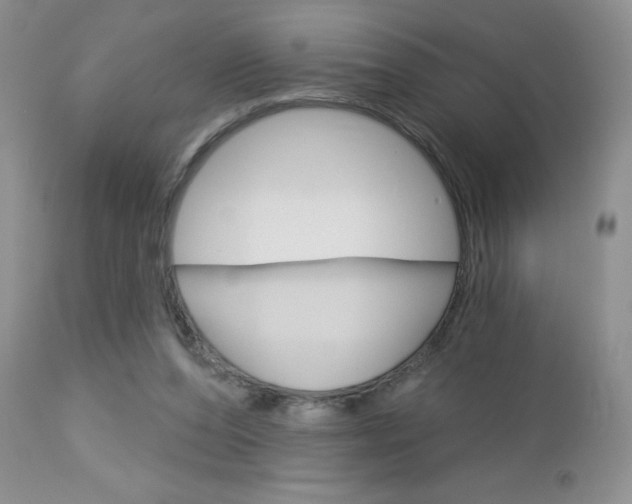 X0000113120208200908281050