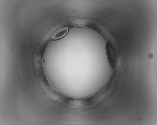 X0000113120209200908281050