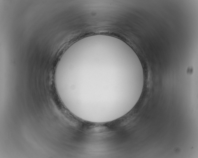 X0000113120210200908281050