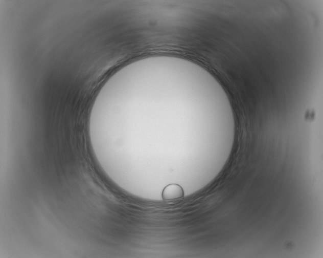 X0000113120211200908281050