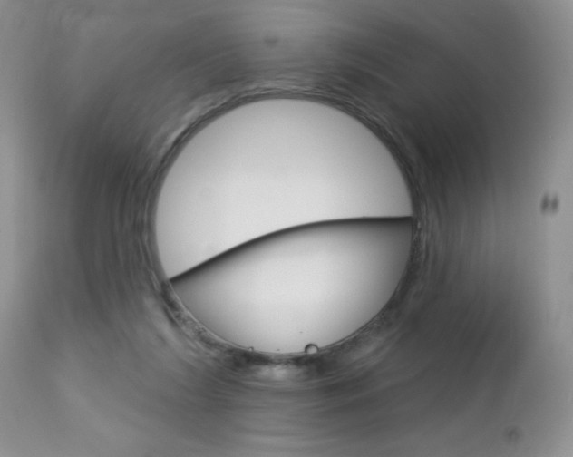 X0000113120212200908281050