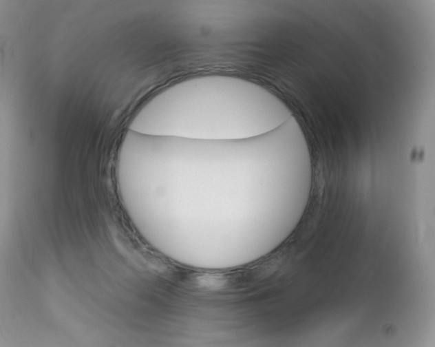 X0000113120214200908281050