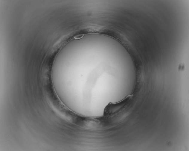 X0000113120215200908281050