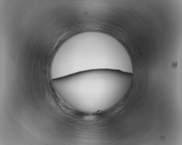 X0000113120216200908281050