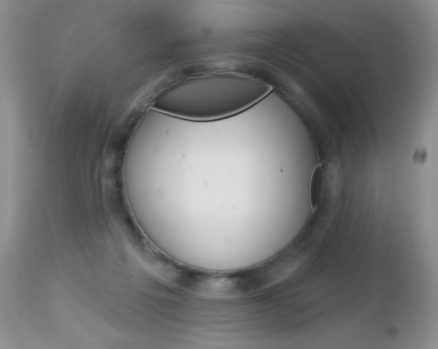 X0000113120217200908281050