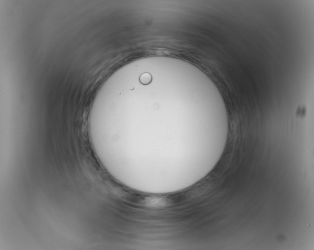 X0000113120218200908281050