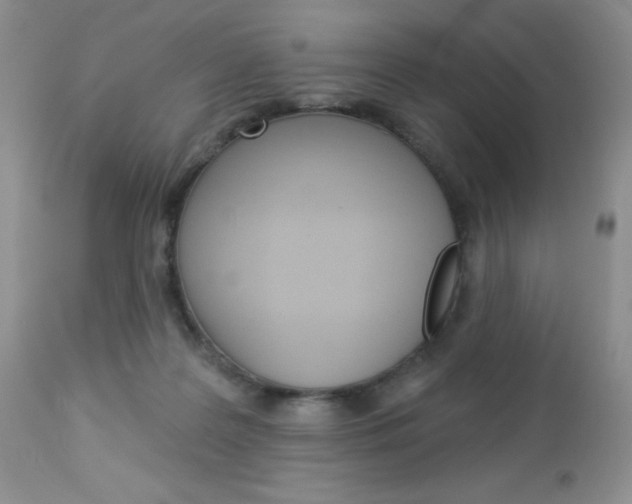 X0000113120219200908281050