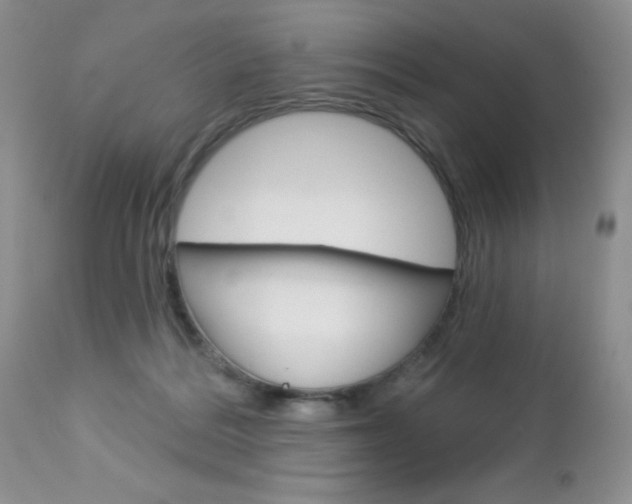X0000113120220200908281050