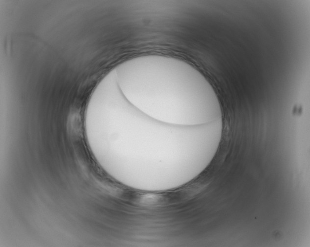 X0000113120222200908281050