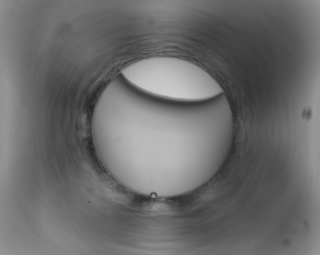 X0000113120224200908281050