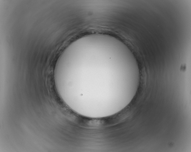 X0000113120225200908281050