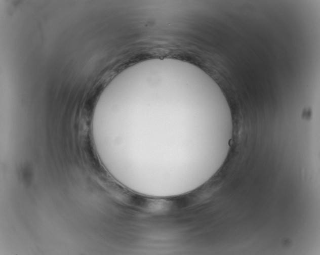 X0000113120226200908281050