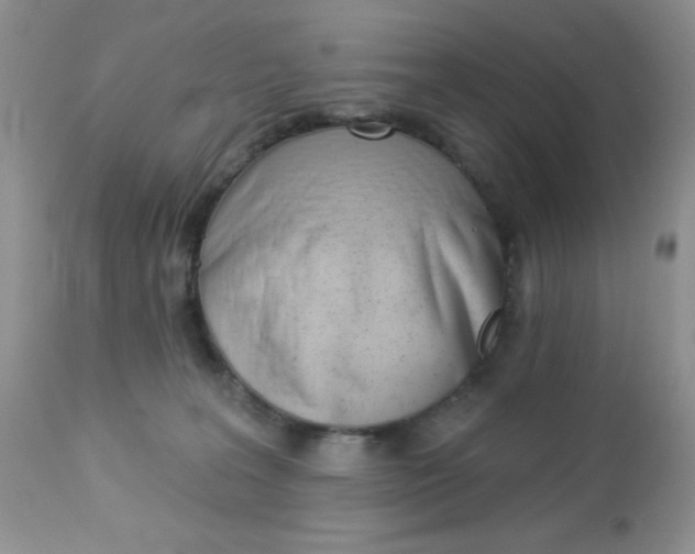 X0000113120227200908281050