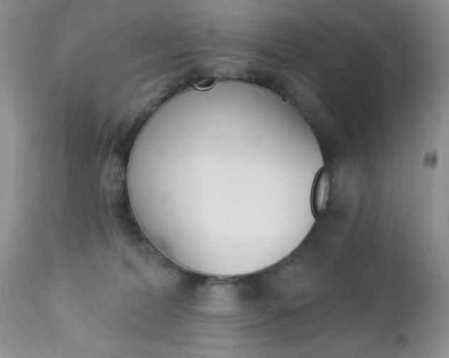 X0000113120228200908281050