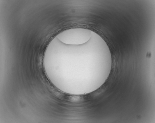X0000113120230200908281049