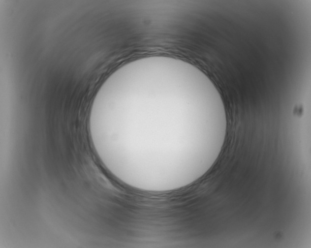 X0000113120231200908281049