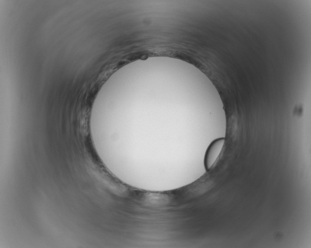 X0000113120234200908281049