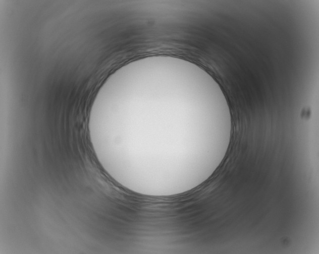 X0000113120237200908281049
