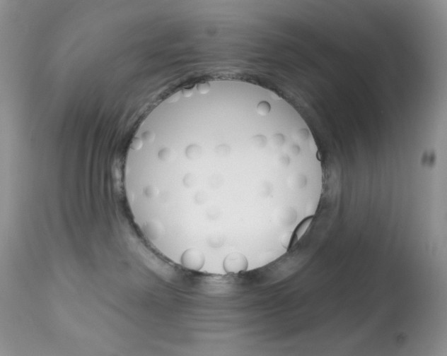 X0000113120238200908281049