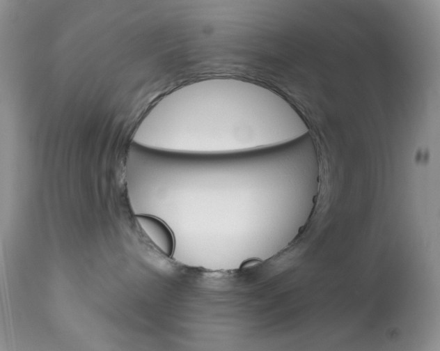 X0000113120240200908281049