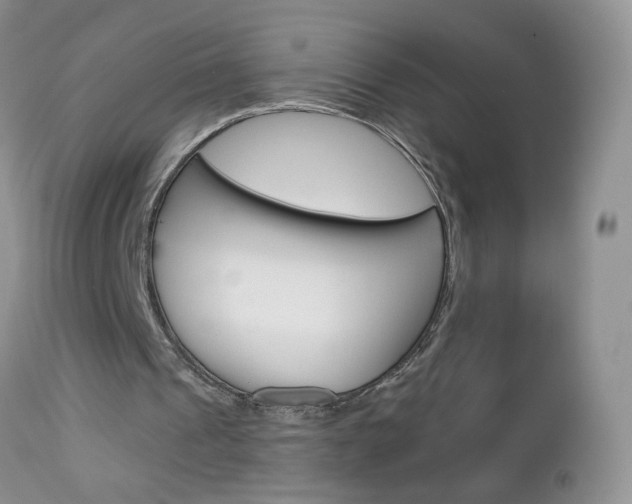 X0000113120241200908281049