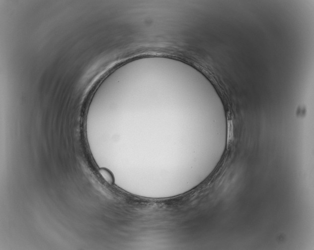 X0000113120243200908281049