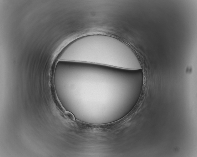X0000113120244200908281049
