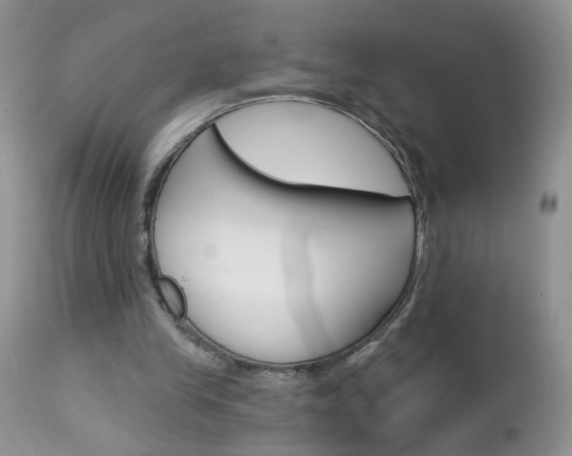 X0000113120245200908281049