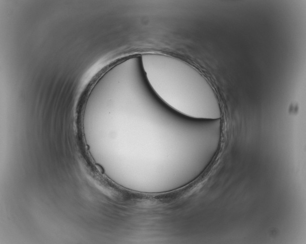 X0000113120246200908281049