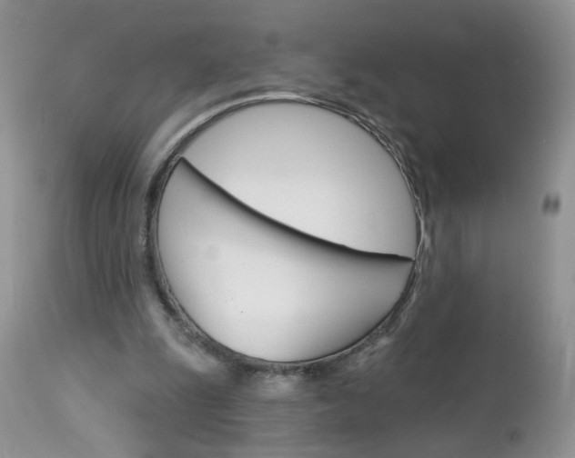 X0000113120247200908281049