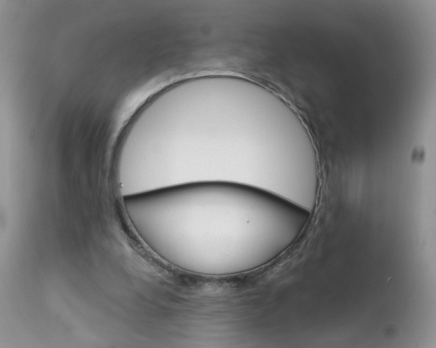 X0000113120248200908281049