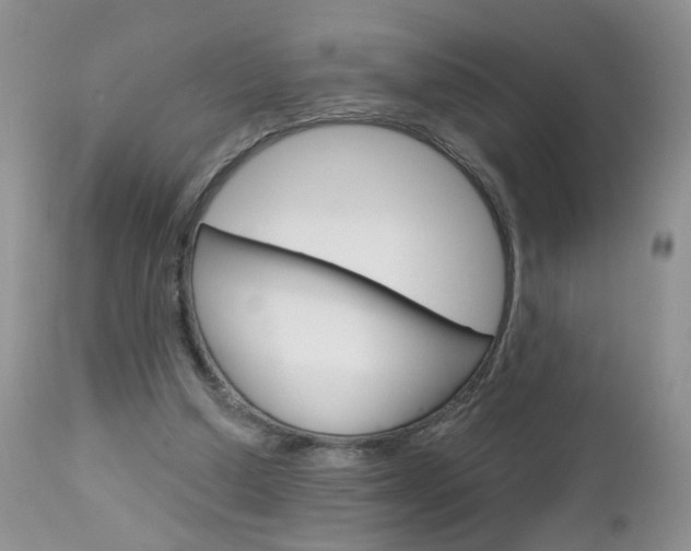 X0000113120250200908281049