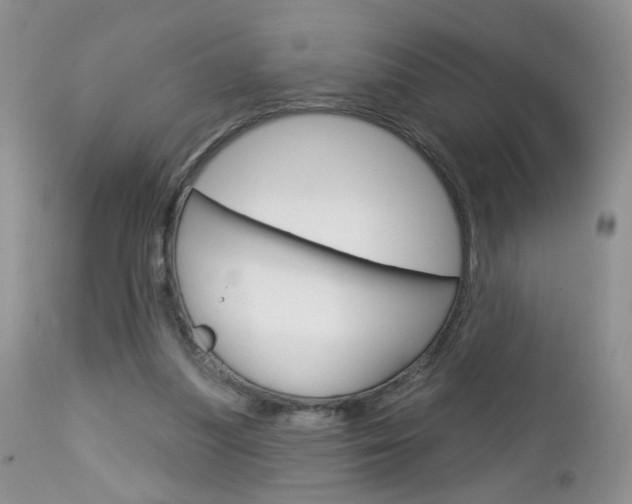 X0000113120251200908281049