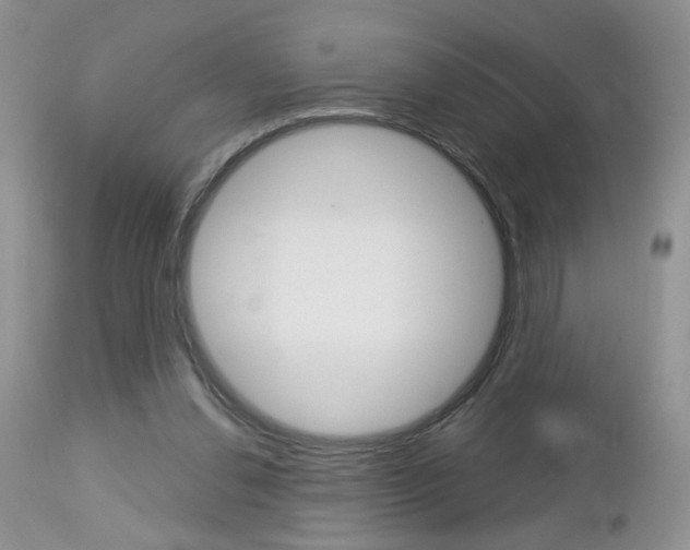 X0000113120252200908281049