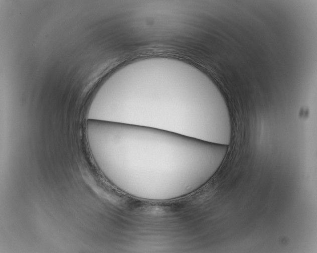 X0000113120254200908281049