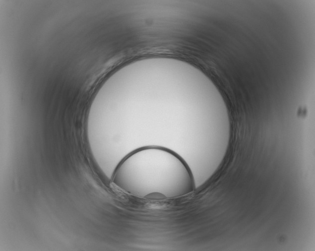 X0000113120260200908281049