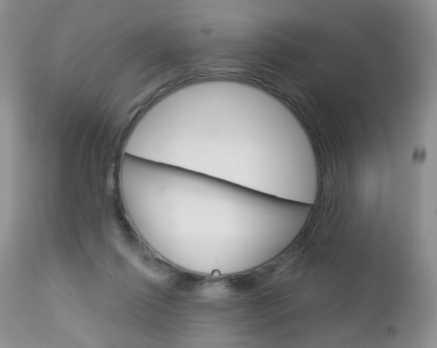 X0000113120262200908281049