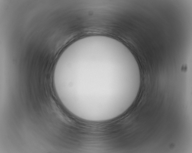 X0000113120264200908281049