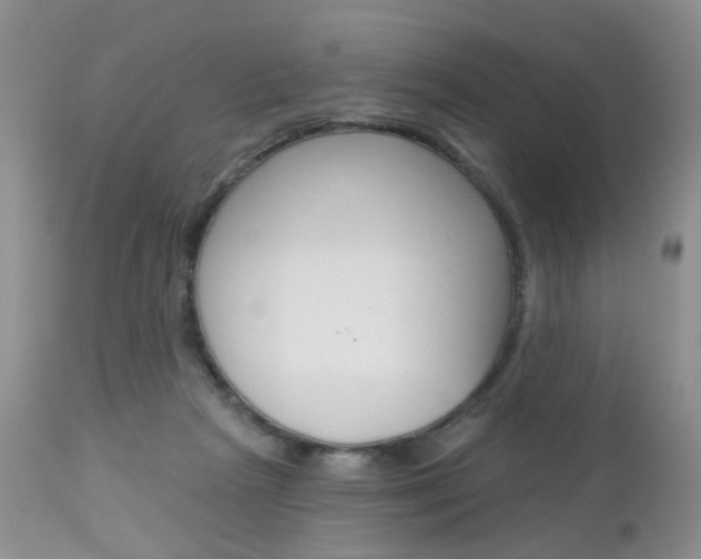X0000113120265200908281049