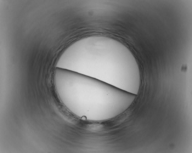 X0000113120266200908281049
