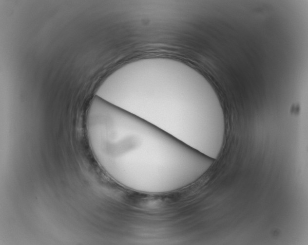 X0000113120267200908281049