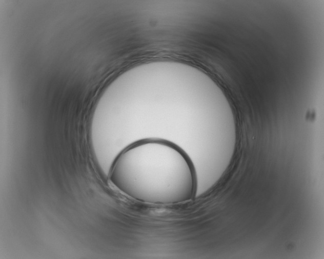 X0000113120268200908281049