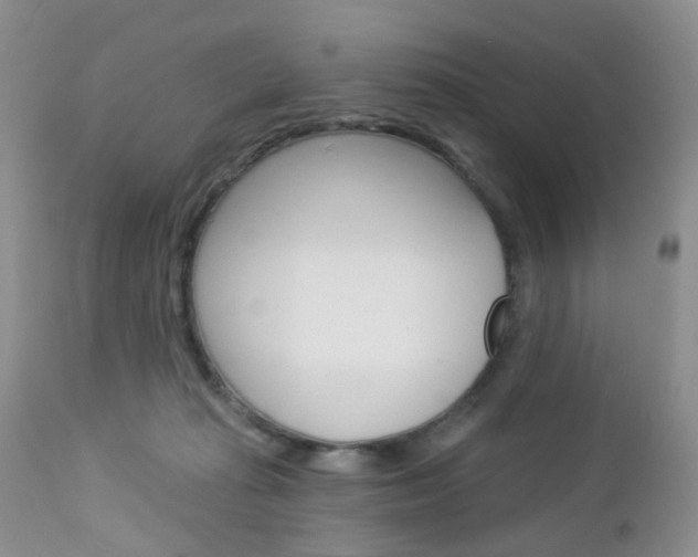 X0000113120269200908281049