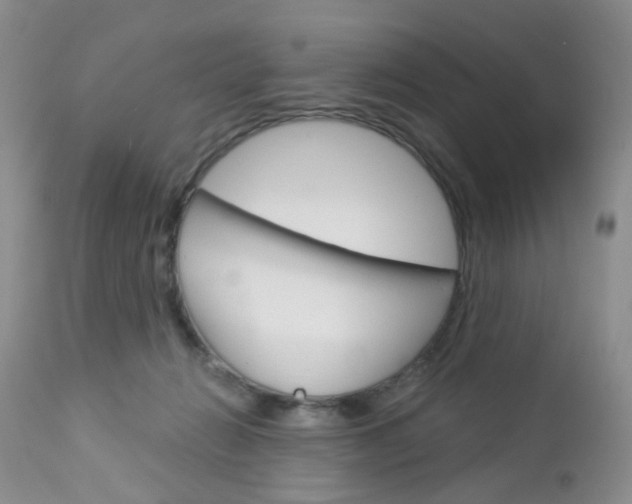 X0000113120270200908281049