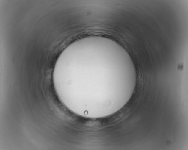 X0000113120271200908281049