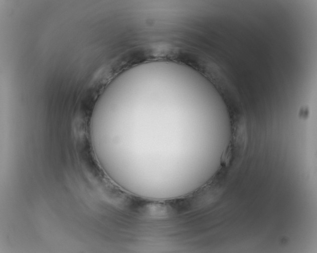 X0000113120272200908281049