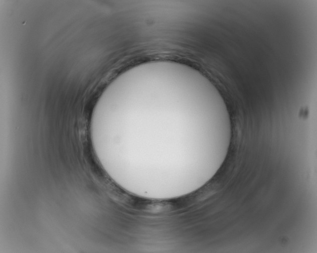 X0000113120274200908281049