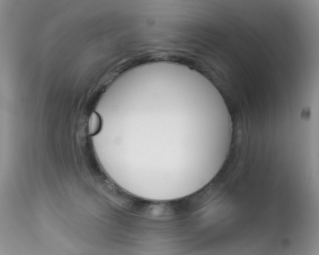 X0000113120275200908281049