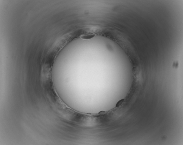X0000113120276200908281049